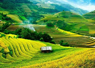 طبیعت سحرانگیز ویتنام