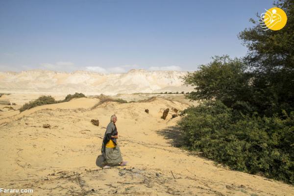 (تصاویر) زندگی زن تنهای آلمانی در کویر مصر!