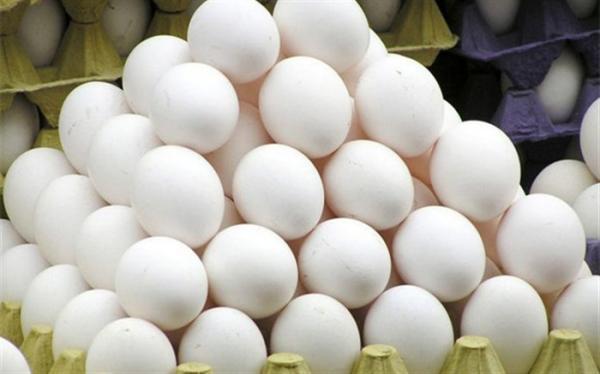 قانون درج قیمت روی تخم مرغ اجرایی شد